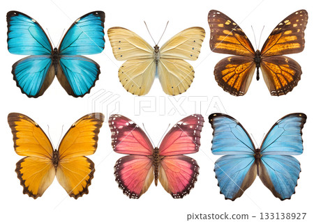 Vibrant collection of colorful butterflies, including monarch and blue morpho species, isolated on transparent background for easy design use Vibrant collection of colorful butterflies, including monarch and blue morpho species, isolated on transparent background for easy design use 133138927
