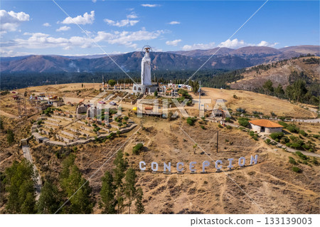 Aerial view of the Immaculate Virgin of the Conception in Huancayo. 133139003