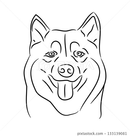 head of Alaskan malamute dog, sketch of black art brush lines 133139081