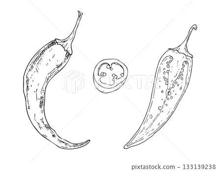 Vector set of red chili pepper in section. Hand drawn spicy paprika with seeds illustration perfect for organic branding. Detailed design ideal for food ingredient, aromatherapy, cooking. For cosmetic 133139238