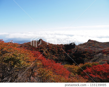 Autumn leaves Okuboyama 133139495