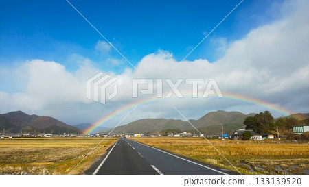 Rainbow 2020 Rainbow 2020 133139520