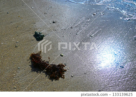 Shining shore Shining shore 133139625