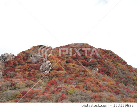 一座變成紅色葉子的山 一座變成紅色葉子的山 133139682