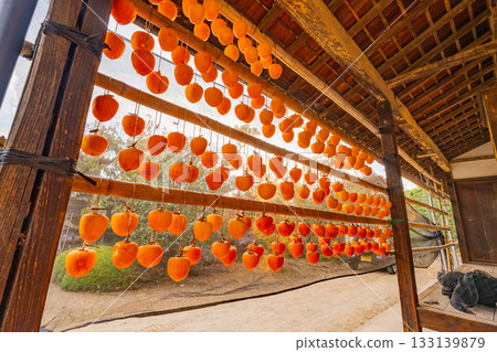 [Yamanashi Prefecture] Korokaki no Sato: Sun-dried Korokaki 133139879