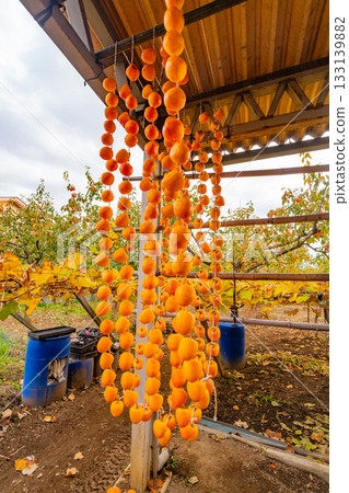 [Yamanashi Prefecture] Korokaki no Sato: Sun-dried Korokaki 133139882