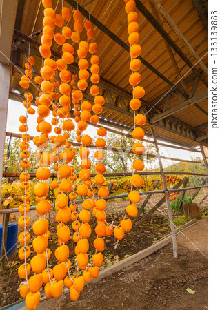 [Yamanashi Prefecture] Korokaki no Sato: Sun-dried Korokaki 133139883