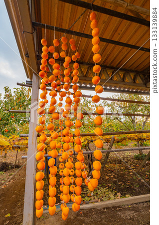 [Yamanashi Prefecture] Korokaki no Sato: Sun-dried Korokaki 133139884