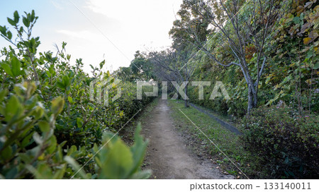 Mountain path in Miharashi Green Space 133140011