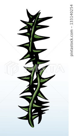 Vector drawing. Big thorn branch 133140254