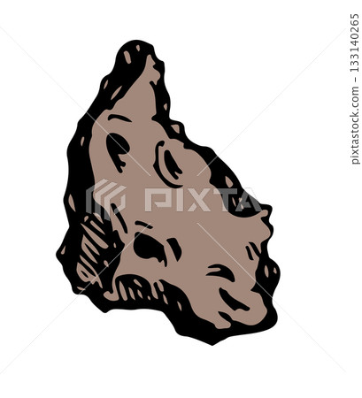 Vector drawing. Small Asteroid in the sky 133140265