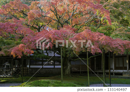 雷山仙人寺大鳳凰院（福岡縣糸島市）的秋色 133140497