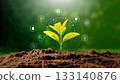Green growing plant, ecology concept 133140876