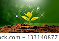 Green growing plant, ecology concept 133140877