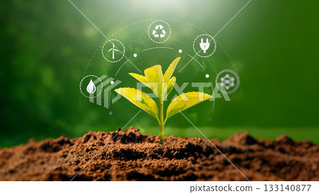 Green growing plant, ecology concept Green growing plant, ecology concept 133140877