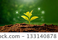 Green growing plant, ecology concept 133140878