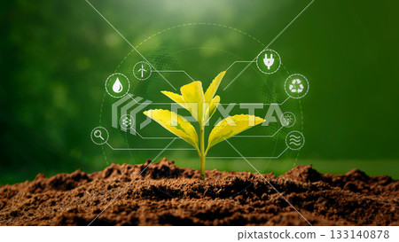 Green growing plant, ecology concept Green growing plant, ecology concept 133140878