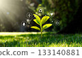 Green growing plant, ecology concept 133140881