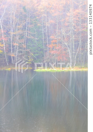 Autumn leaves and snow on Mishaka Pond 133140974