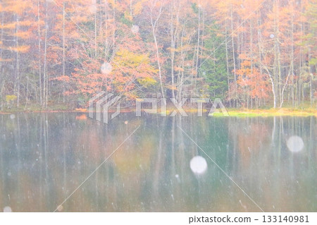 米沙卡池塘上的秋葉和積雪 133140981