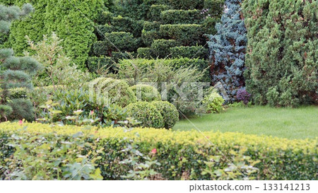 A tiered, richly landscaped garden featuring diverse evergreen topiary, layered hedges and spherical shrubs against a vibrant green lawn. A tiered, richly landscaped garden featuring diverse evergreen topiary, layered hedges and spherical shrubs against a vibrant green lawn. 133141213