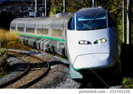Yamagata Shinkansen "Tsubasa" (E3 series L65 formation) 133141236