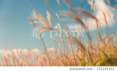 鈴木在藍藍的天空中搖曳 133141333