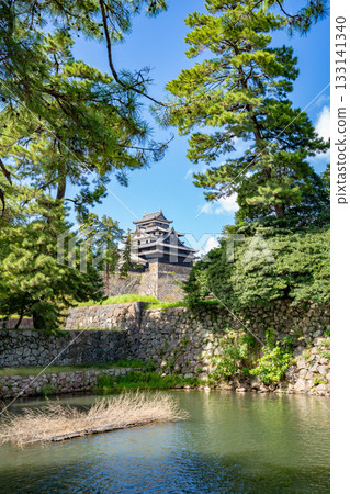 松江城城牆和護城河的景色 松江城城牆和護城河的景色 133141340