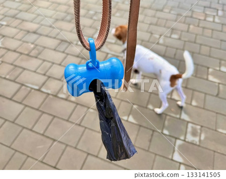 Pet Excrement Bags on a Leash. High quality photo 133141505