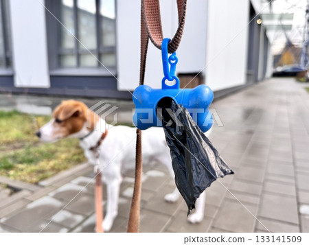 Pet Excrement Bags on a Leash. High quality photo Pet Excrement Bags on a Leash. High quality photo 133141509