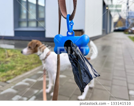 Pet Excrement Bags on a Leash. High quality photo 133141510