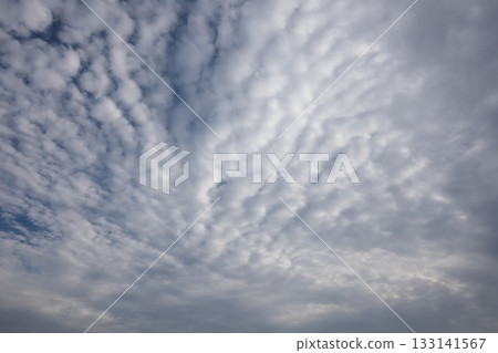 Nature Weather Altocumulus clouds, meso-stratus clouds. They are reminiscent of sheep clouds, but they come in various shapes, and these clouds look like waves. Nature Weather Altocumulus clouds, meso-stratus clouds. They are reminiscent of sheep clouds, but they come in various shapes, and these clouds look like waves. 133141567