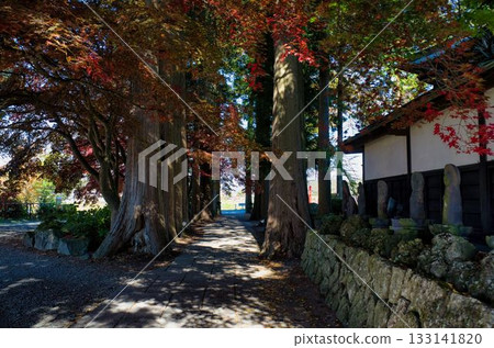 Autumn leaves of Choenji 133141820