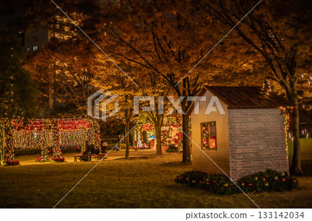 A park with Christmas illuminations and autumn leaves on trees A park with Christmas illuminations and autumn leaves on trees 133142034