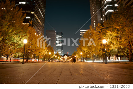 Ginkgo trees that shine in the night city 133142063