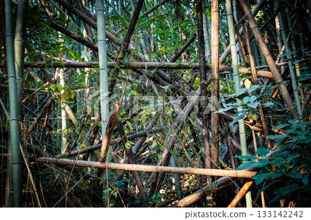 廢棄竹林 133142242