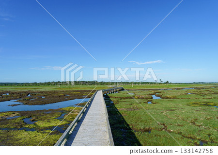 北海道根室春國台的木棧道和沼澤景色 北海道根室春國台的木棧道和沼澤景色 133142758