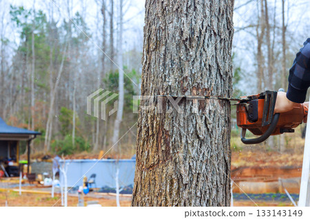 Chainsaw operation to fell tree in wooded area during construction site 133143149