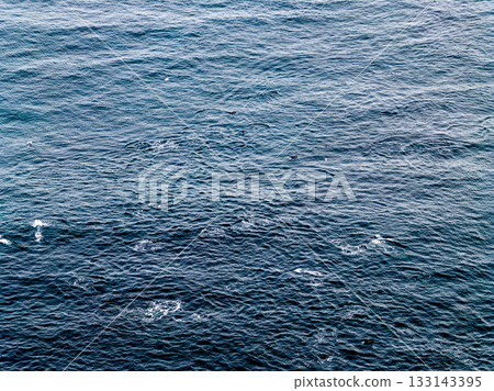 Aerial view of common dolphins feeding above huge dragnet in Donegal Bay, Ireland 133143395