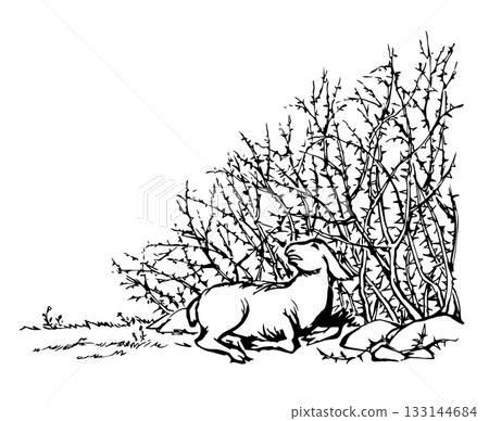 Vector drawing. The sheep got lost in the thorn bushes 133144684