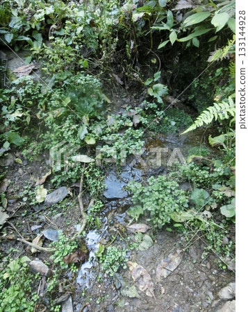 堺川源頭（町田市相原町） 133144928