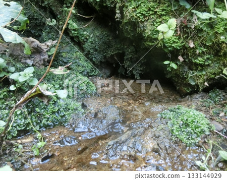 堺川源頭（町田市相原町） 133144929
