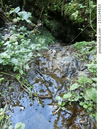 堺川源頭（町田市相原町） 133144933