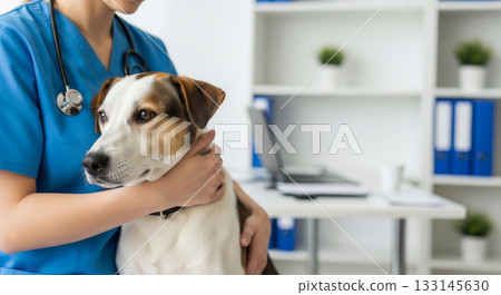 Veterinarian comforting a nervous dog during an examination in a modern and bright veterinary clinic, pet care. 133145630