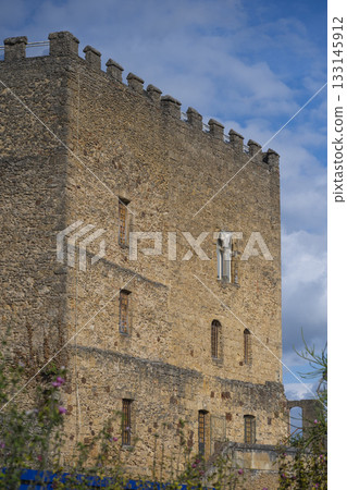 Historic Lacataye Castle in Mont de Marsan houses Despiau-Wlerick Museum 133145912