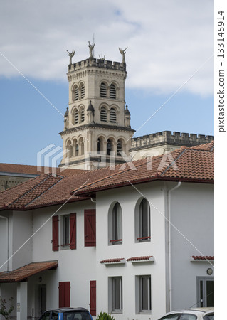 Majestic basilica of notre-dame-de-buglose in saint-vincent-de-paul, france 133145914