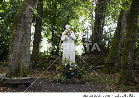Saint Vincent de Paul statue in nature at Basilique Notre-Dame-de-Buglose Saint Vincent de Paul statue in nature at Basilique Notre-Dame-de-Buglose 133145923