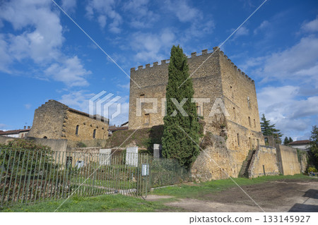 Historic Lacataye Castle in Mont de Marsan houses Despiau-Wlerick Museum 133145927