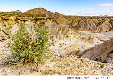 Tabernas desert landscape, Spain Tabernas desert landscape, Spain 133146016