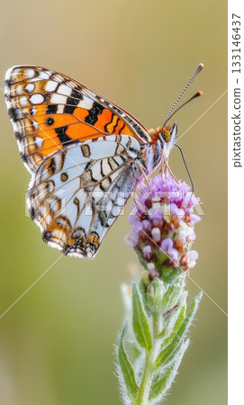 A stunning butterfly perched gracefully on a vibrant flower. The intricate patterns and colors of the butterfly create a beautiful contrast with nature. Generative AI 133146437